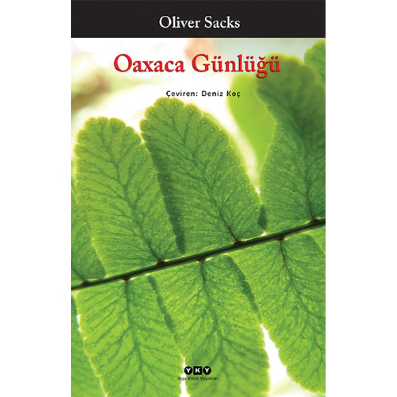 Oaxaca Günlüğü Oaxaca Günlüğü