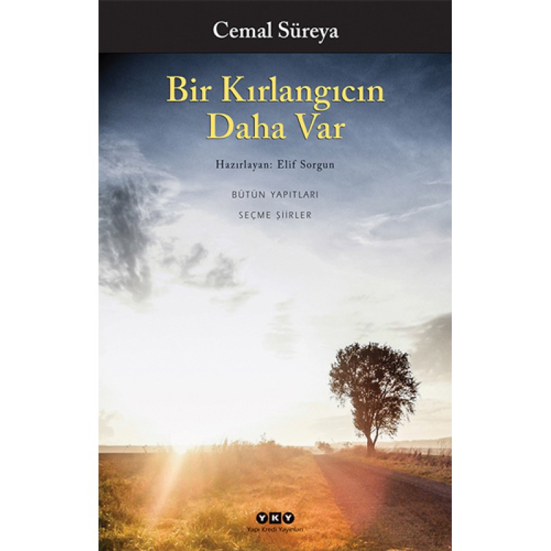 Bir Kırlangıcın Daha Var Bir Kırlangıcın Daha Var