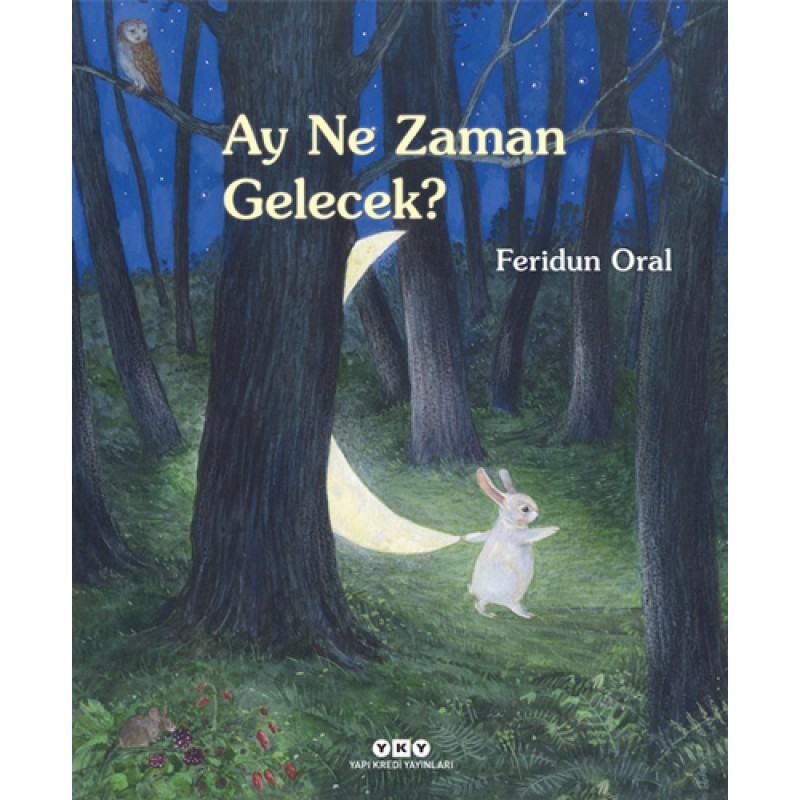 Ay Ne Zaman Gelecek? Ay Ne Zaman Gelecek?