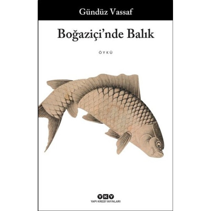 Boğaziçi'nde Balık Boğaziçi'nde Balık
