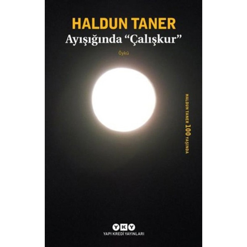 Ayışığında "Çalışkur" Ayışığında "Çalışkur"