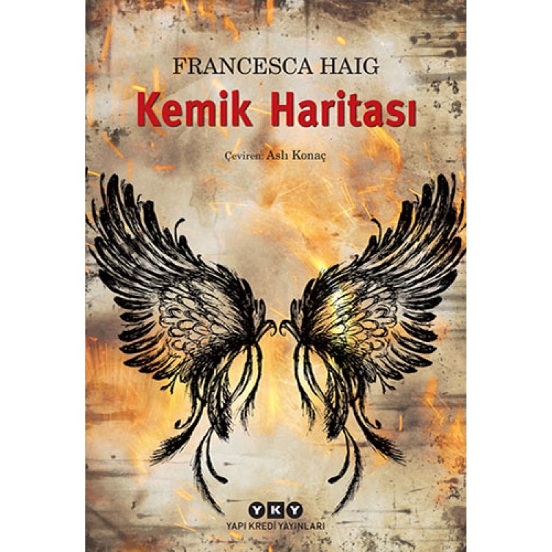 Kemik Haritası