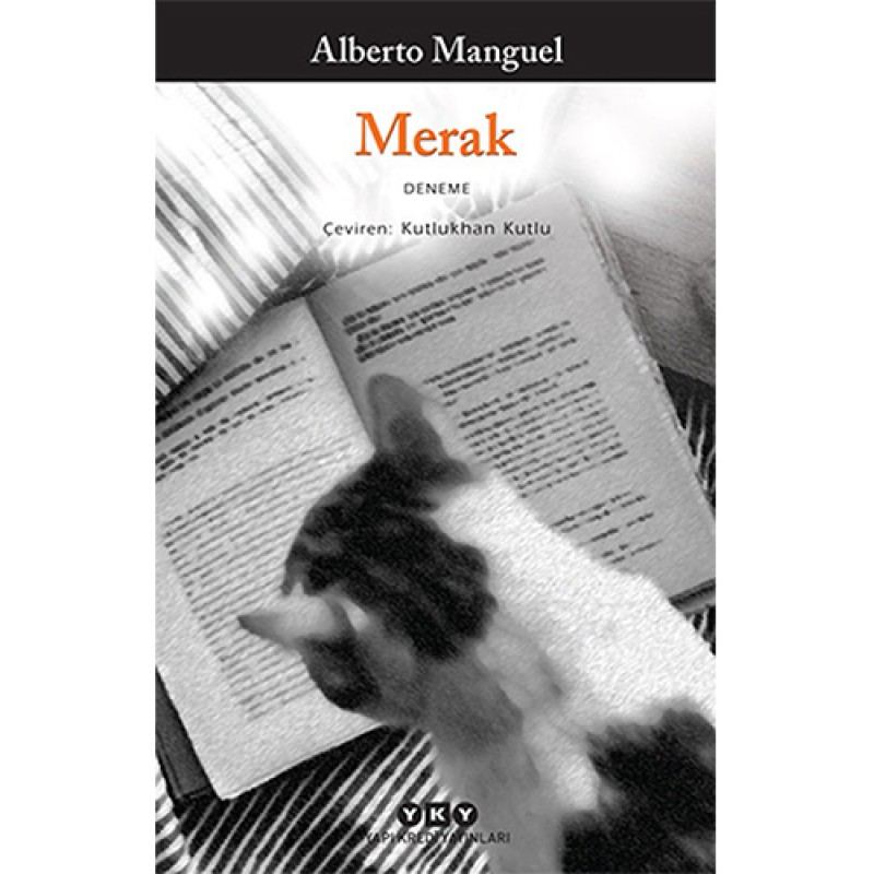 Merak Merak