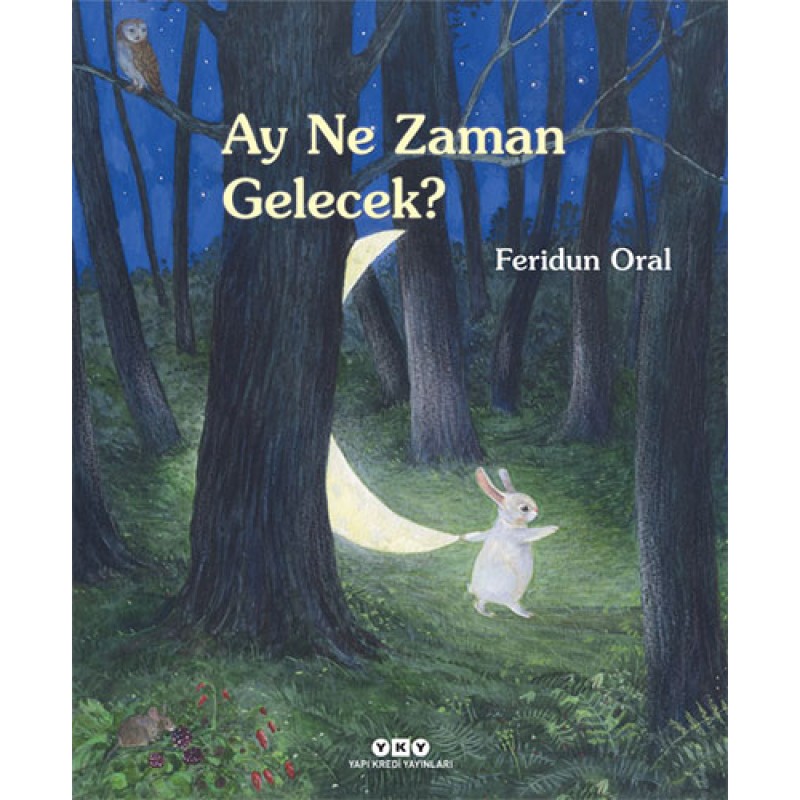 Ay Ne Zaman Gelecek?