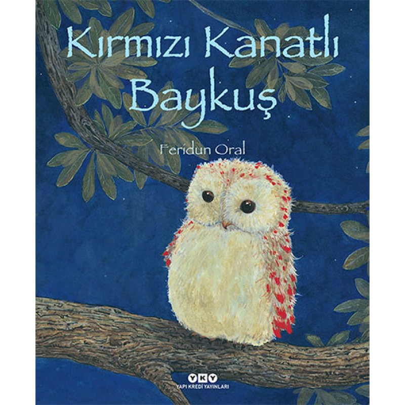Kırmızı Kanatlı Baykuş Kırmızı Kanatlı Baykuş