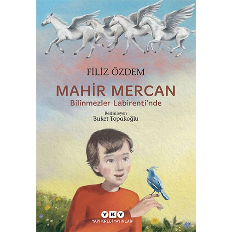 Mahir Mercan - Bilinmezler Labirenti’nde