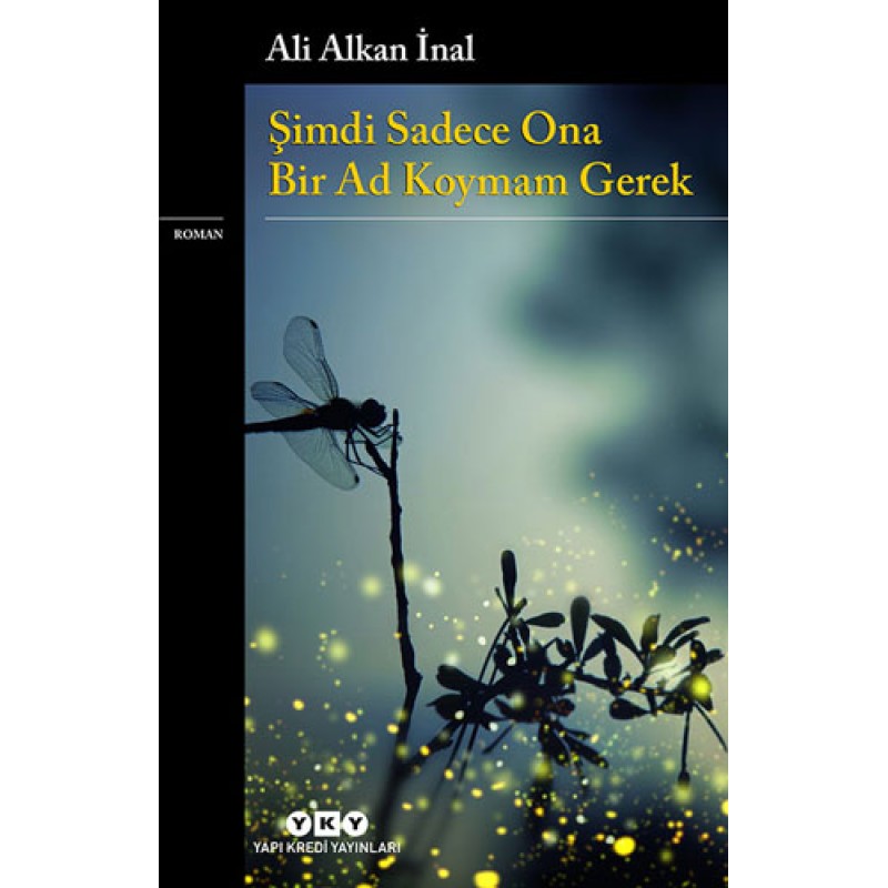 Şimdi Sadece Ona Bir Ad Koymam Gerek Şimdi Sadece Ona Bir Ad Koymam Gerek