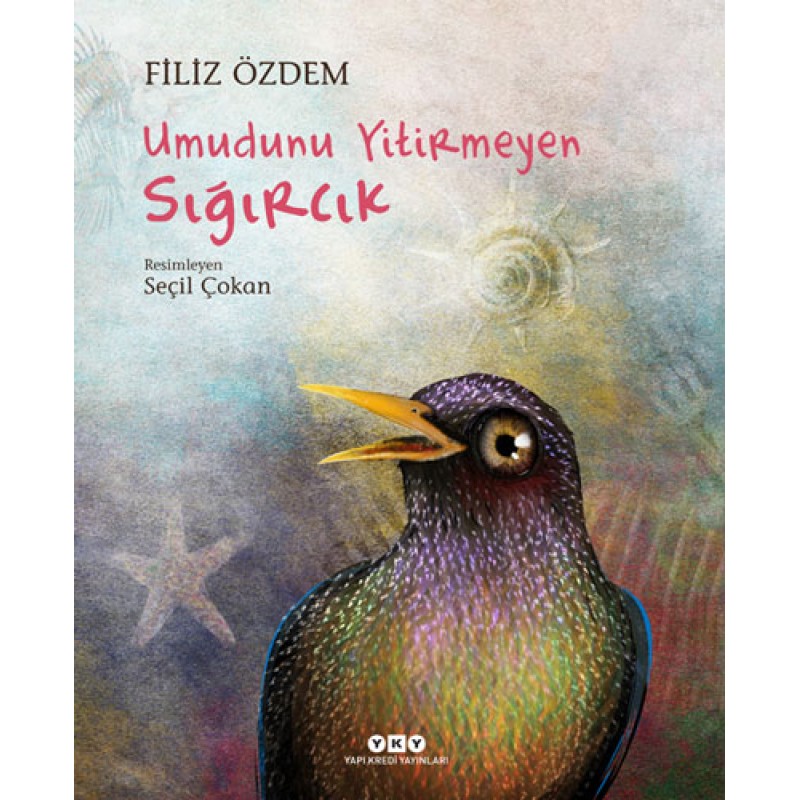 Umudunu Yitirmeyen Sığırcık Umudunu Yitirmeyen Sığırcık