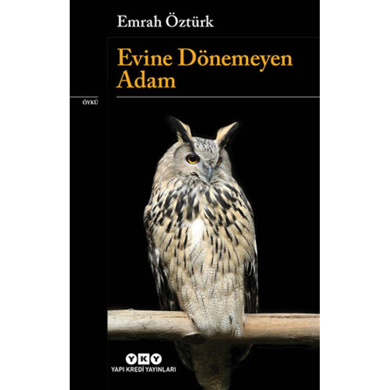 Evine Dönemeyen Adam