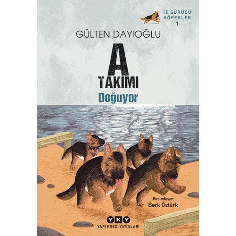 A Takımı Doğuyor