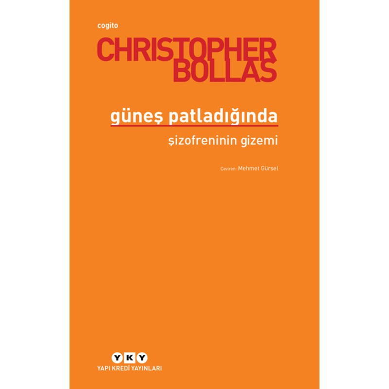 Güneş Patladığında - Şizofreninin Gizemi