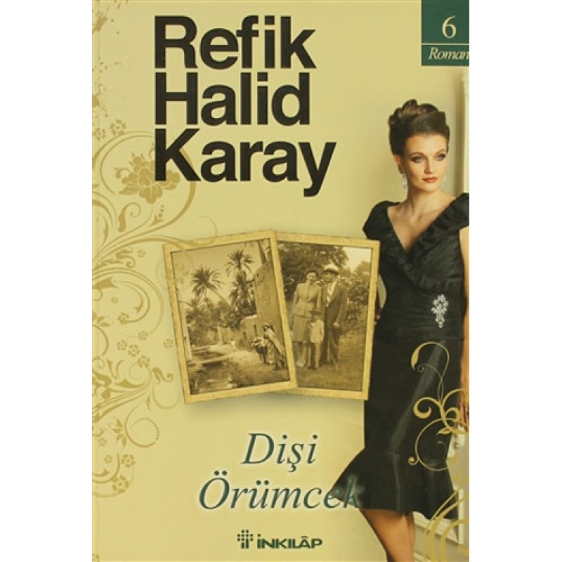 Dişi Örümcek
