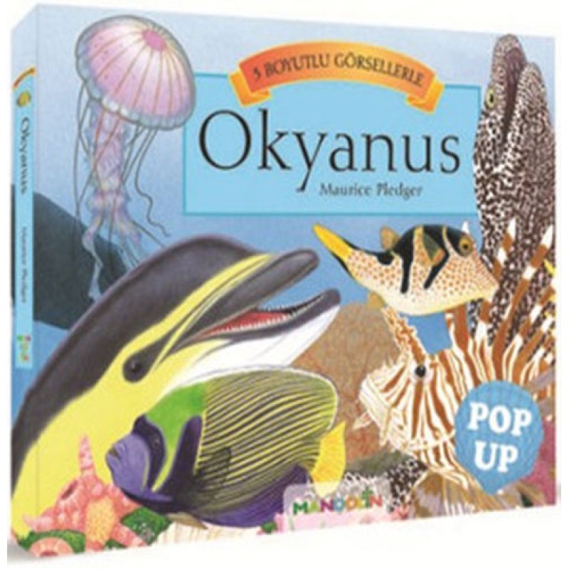 3D Okyanus Pop Up