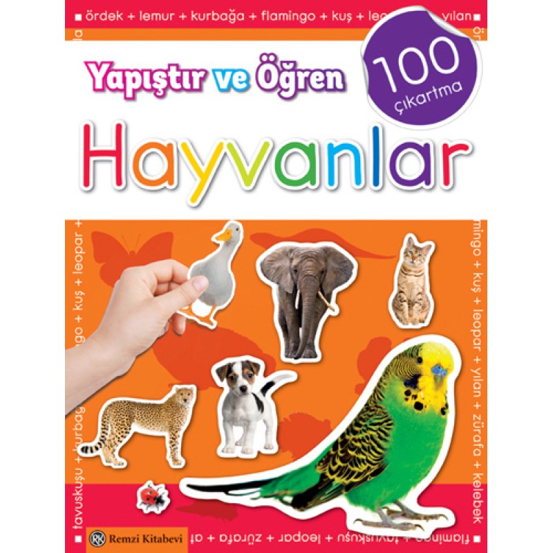 Yapıştır ve Öğren Hayvanlar