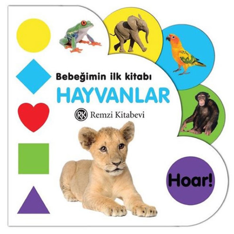 Hayvanlar Hayvanlar