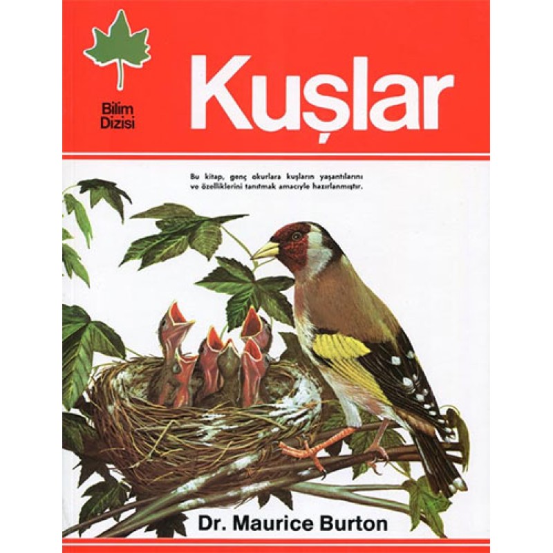 Kuşlar Kuşlar
