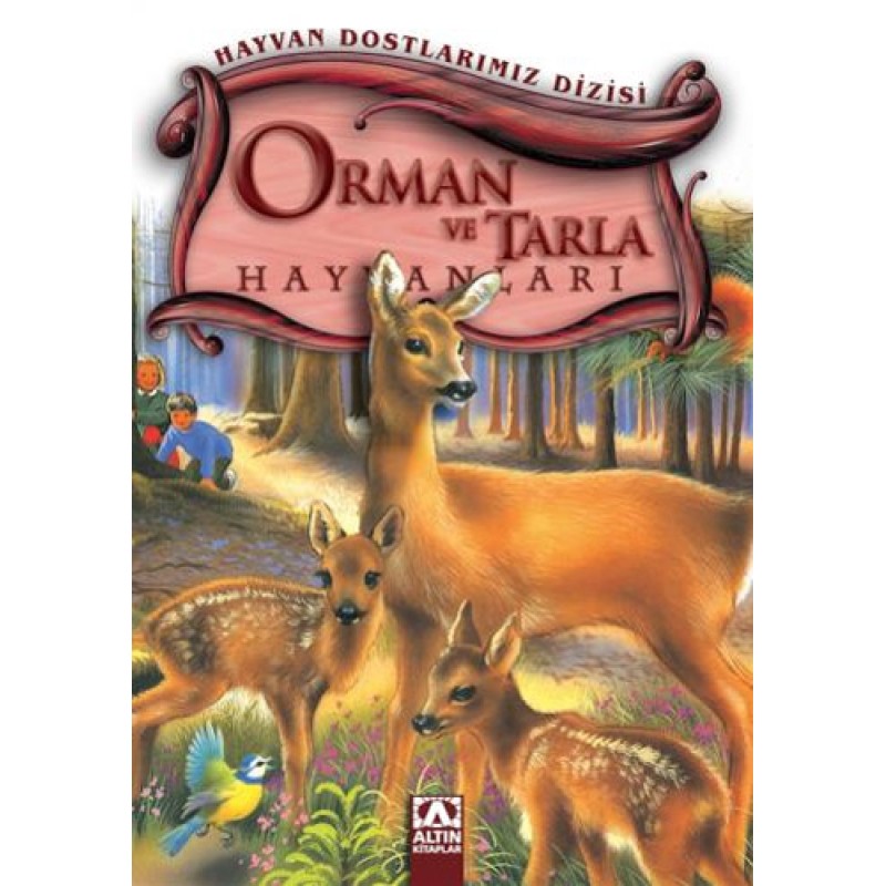 Orman ve Tarla Hayvanları Orman ve Tarla Hayvanları