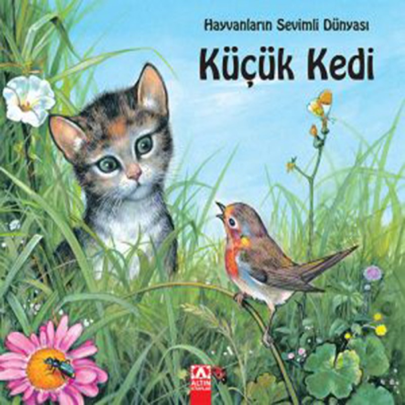 Küçük Kedi Küçük Kedi
