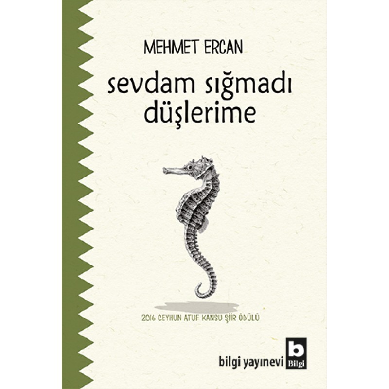 Sevdam Sığmadı Düşlerime Sevdam Sığmadı Düşlerime