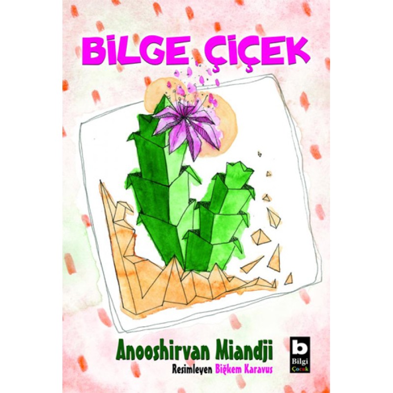 Bilge Çiçek Bilge Çiçek