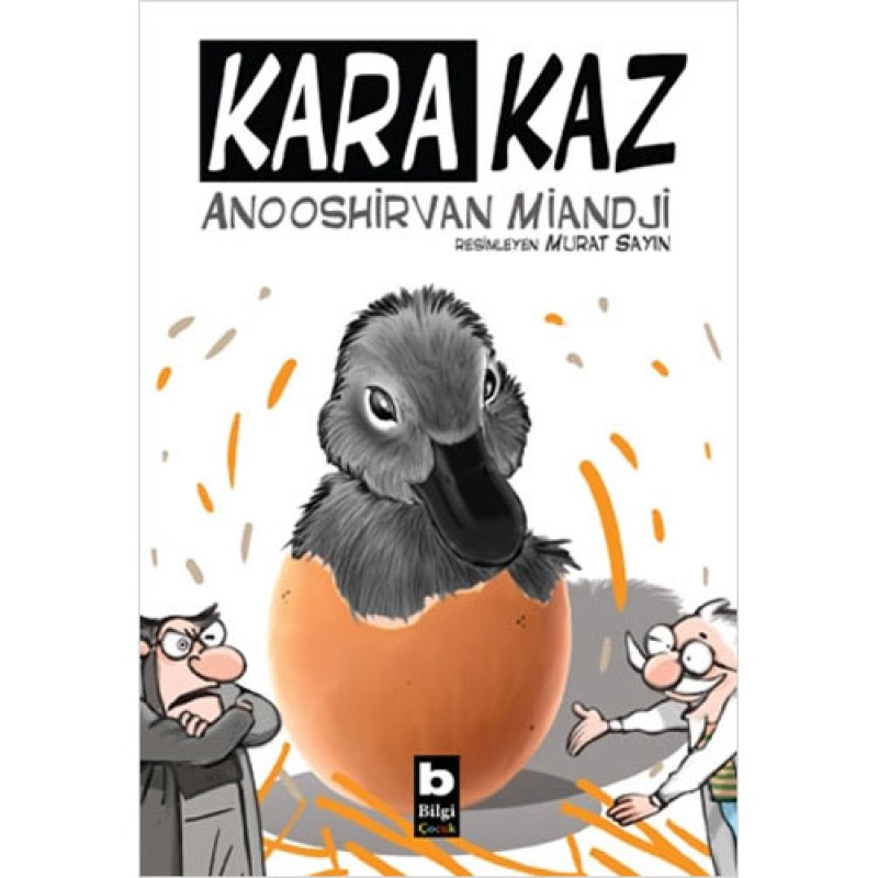 Kara Kaz