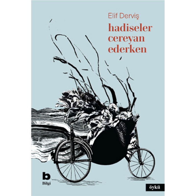 Hadiseler Cereyan Ederken Hadiseler Cereyan Ederken