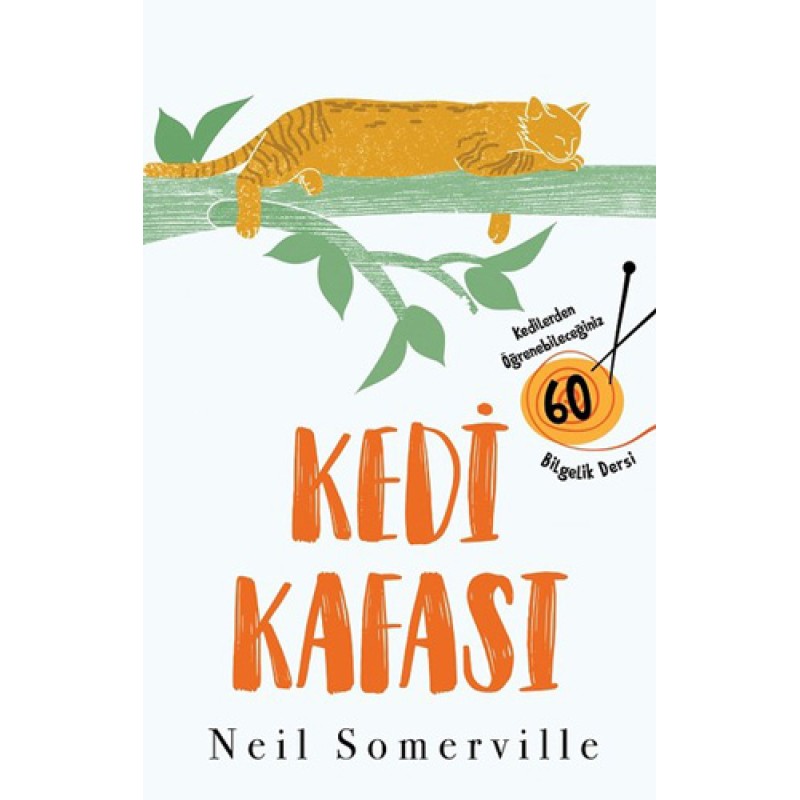 Kedi Kafası