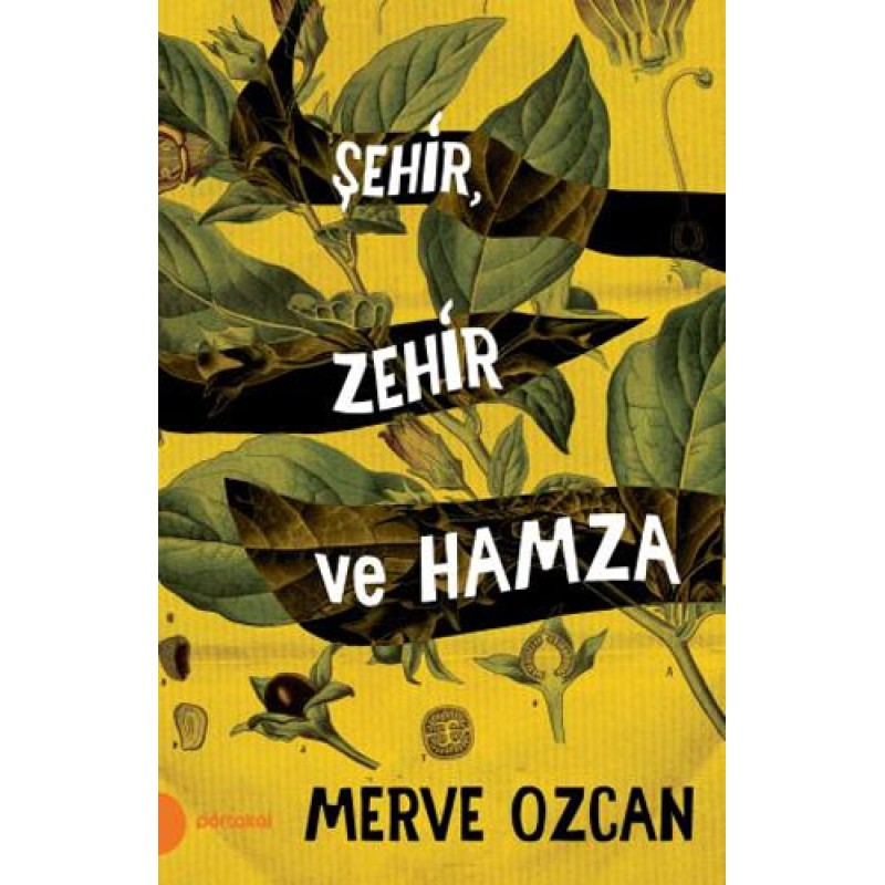Şehir Zehir ve Hamza Şehir Zehir ve Hamza