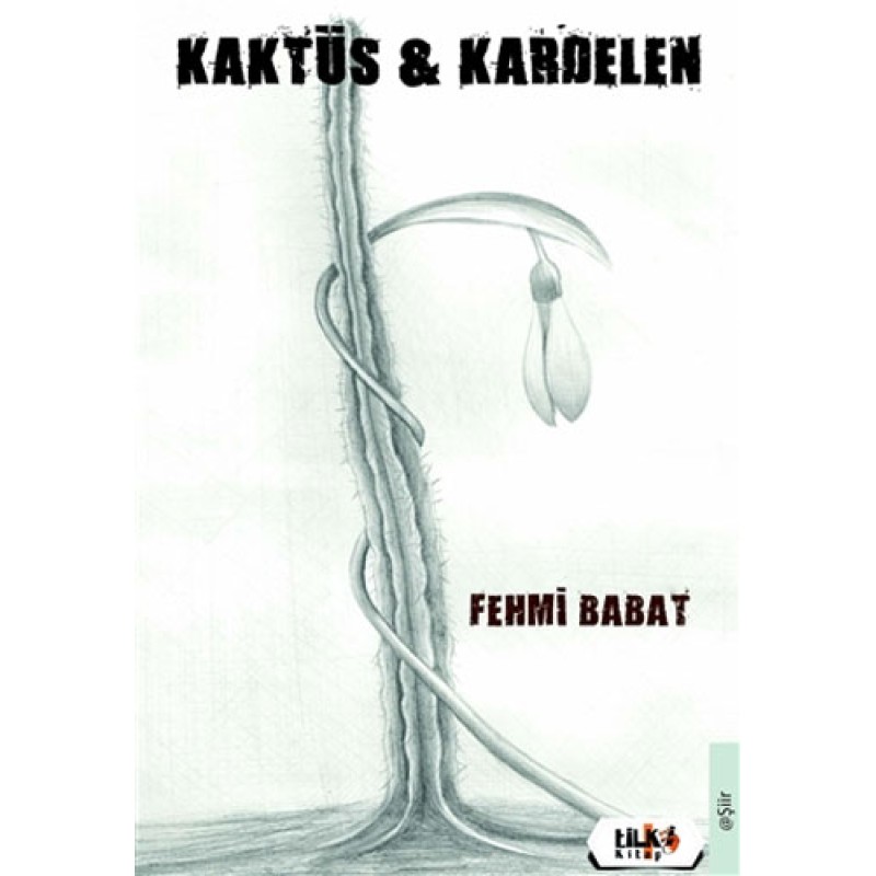 Kaktüs - Kardelen Kaktüs - Kardelen