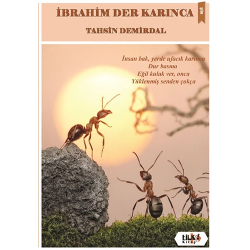 İbrahim Der Karınca