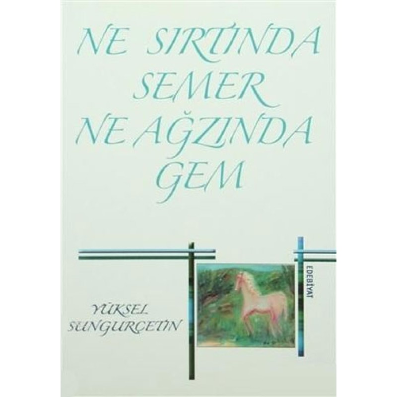 Ne Sırtında Semer Ne Ağzında Gem