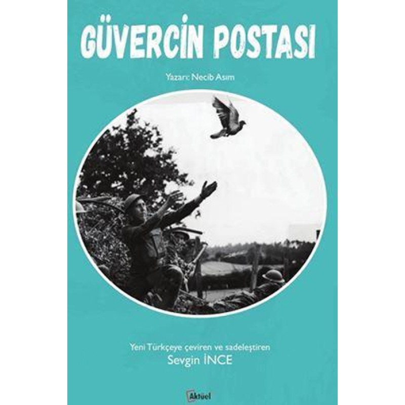 Güvercin Postası Güvercin Postası