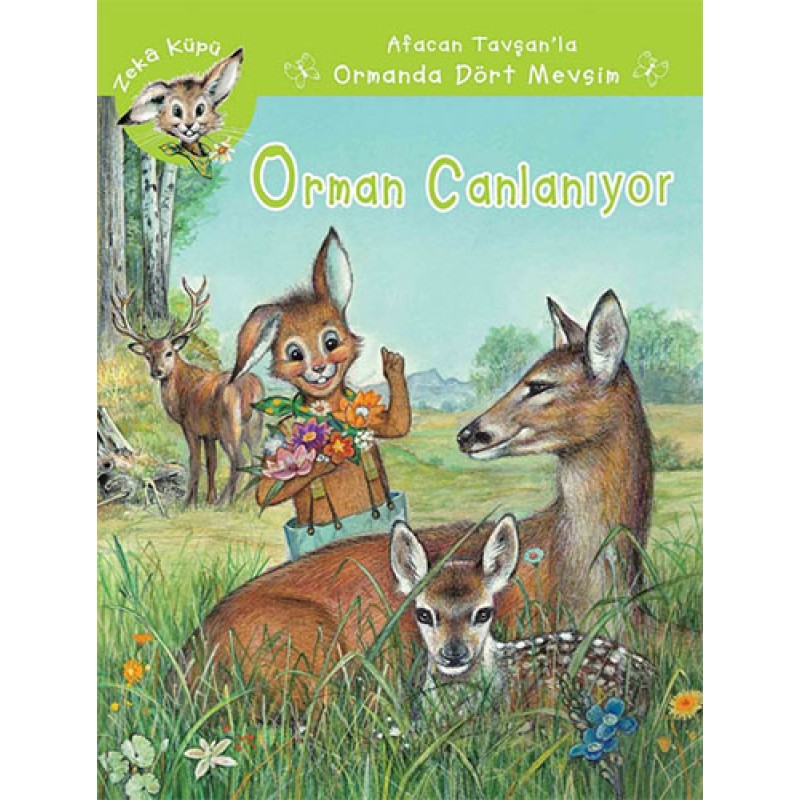 Afacan Tavşan’la Ormanda Dört Mevsim - Orman Canlanıyor