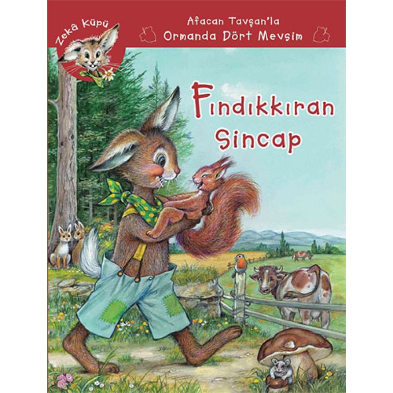 Fındıkkıran Sincap