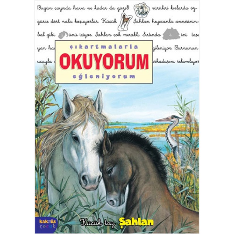 Çıkartmalarla Okuyorum Eğleniyorum- Küçük Tay Şahlan