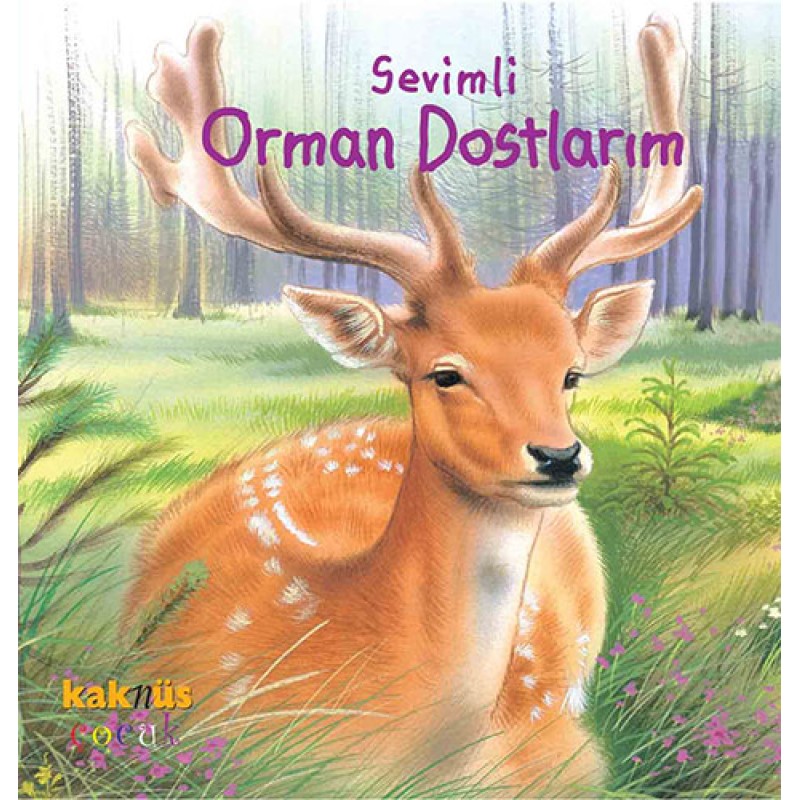 Sevimli Orman Dostlarım