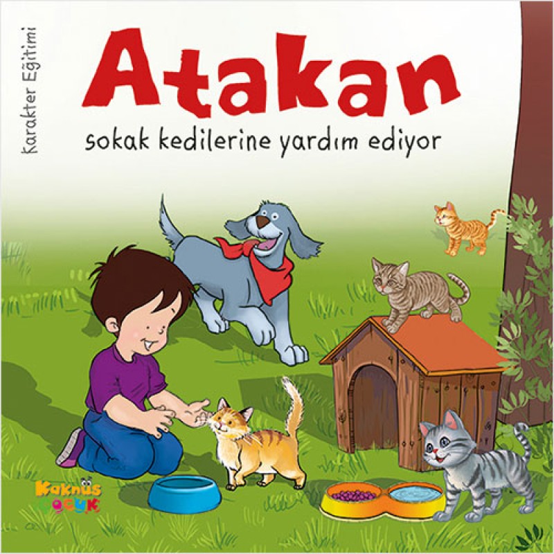 Atakan Sokak Kedilerine Yardım Ediyor Atakan Sokak Kedilerine Yardım Ediyor