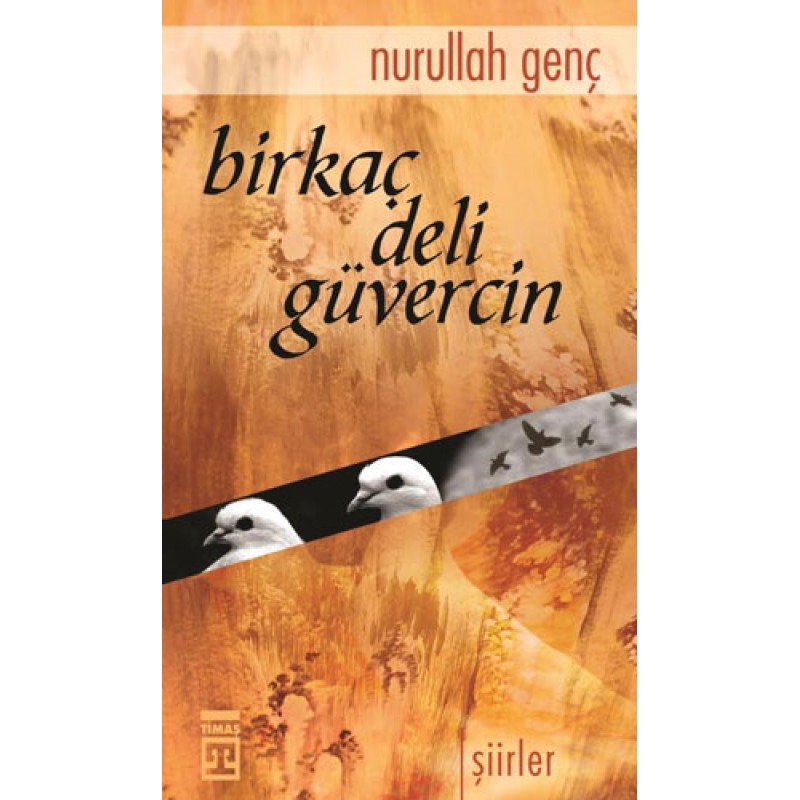 Birkaç Deli Güvercin