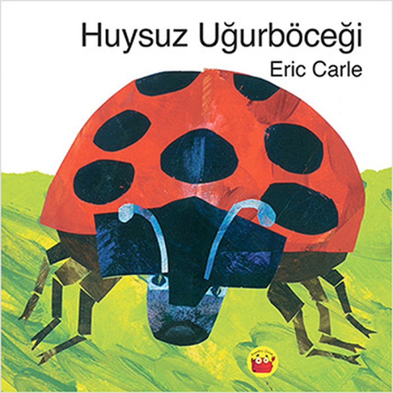 Huysuz Uğurböceği Huysuz Uğurböceği