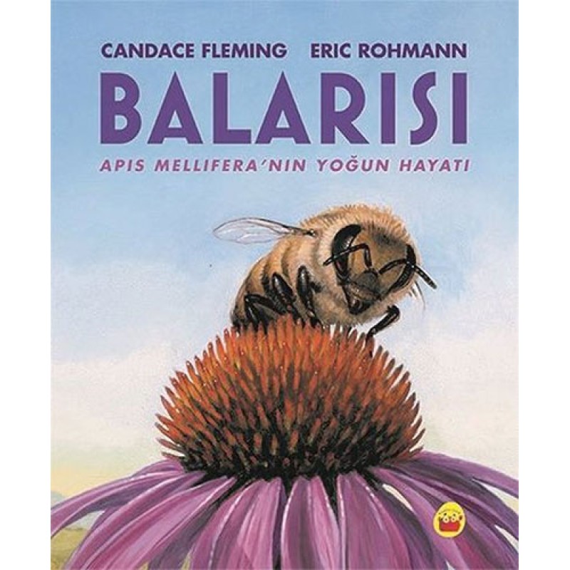 Balarısı Balarısı