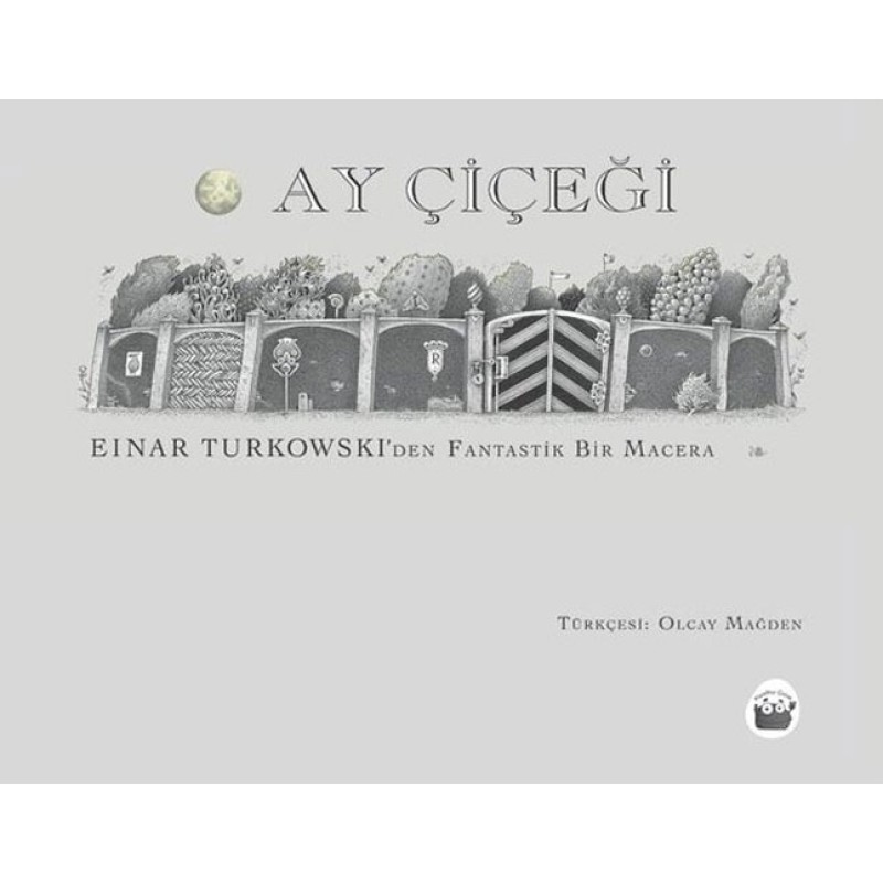 Ay Çiçeği Ay Çiçeği