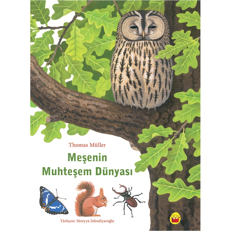 Meşenin Muhteşem Dünyası Meşenin Muhteşem Dünyası