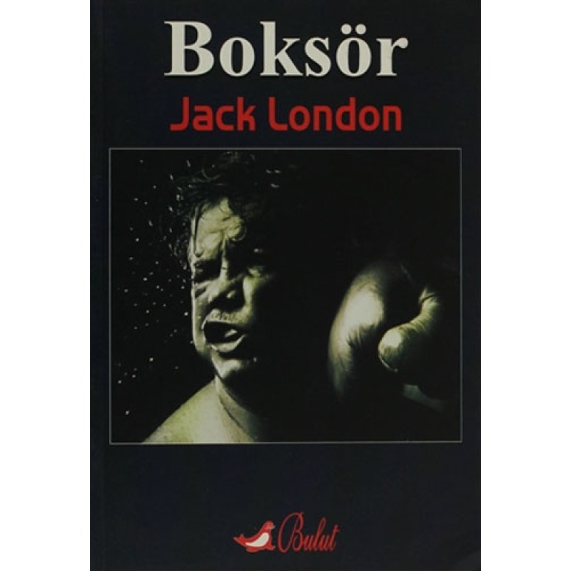 Boksör Boksör