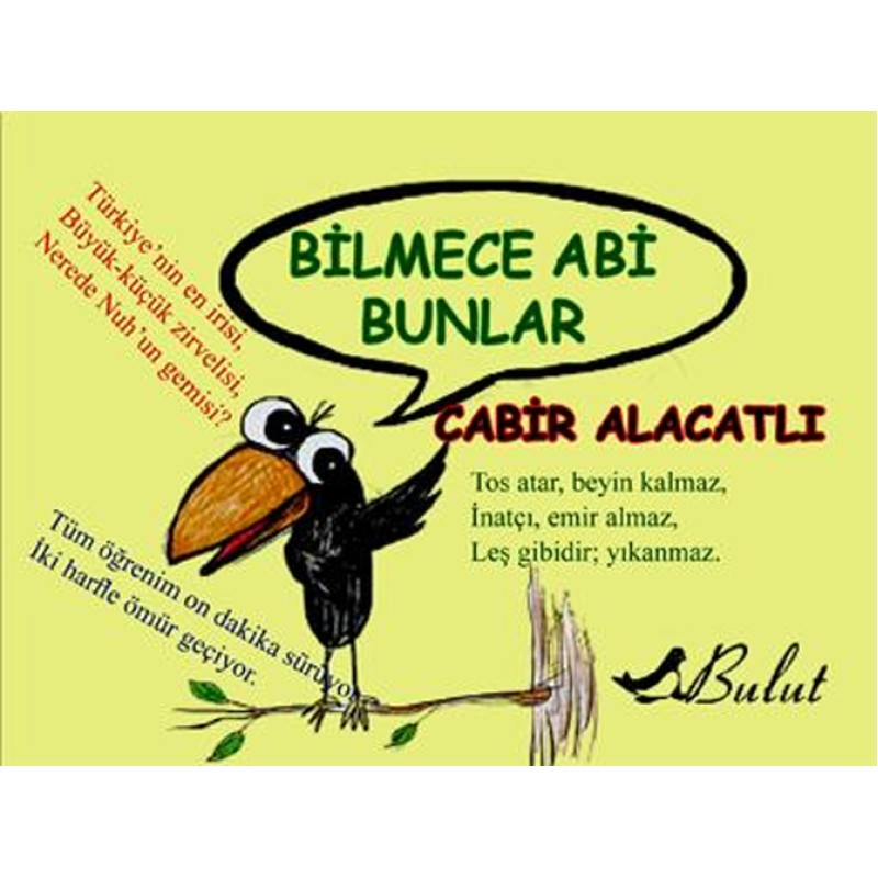 Bilmece Abi Bunlar