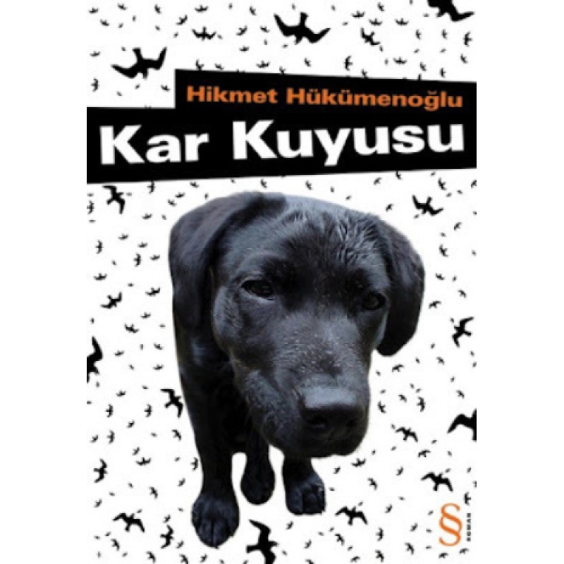 Kar Kuyusu
