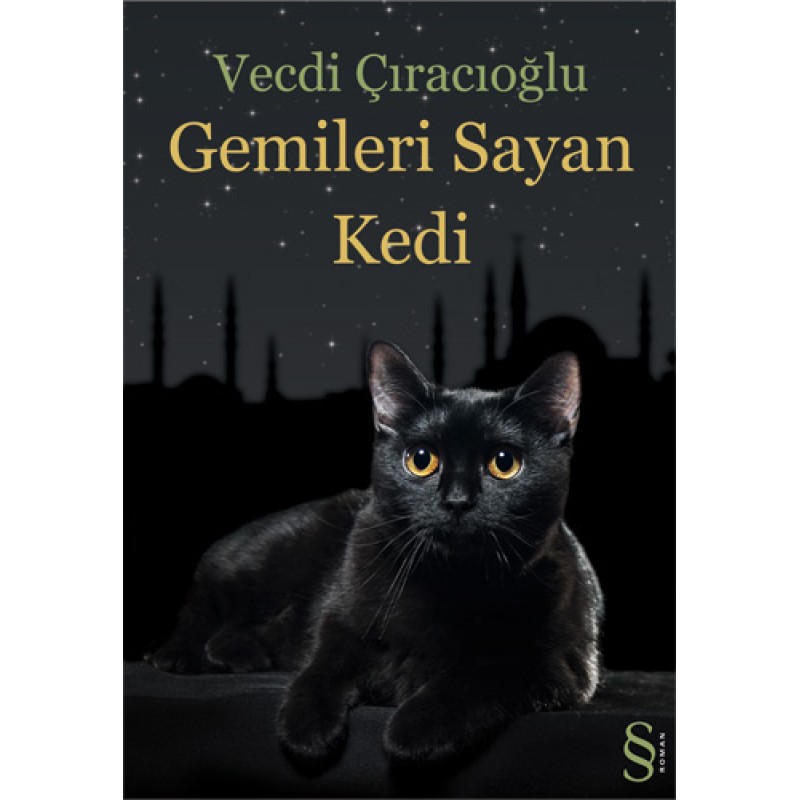 Gemileri Sayan Kedi Gemileri Sayan Kedi