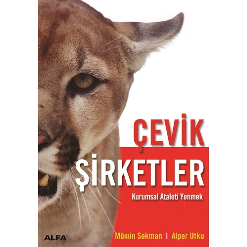 Çevik Şirketler Çevik Şirketler