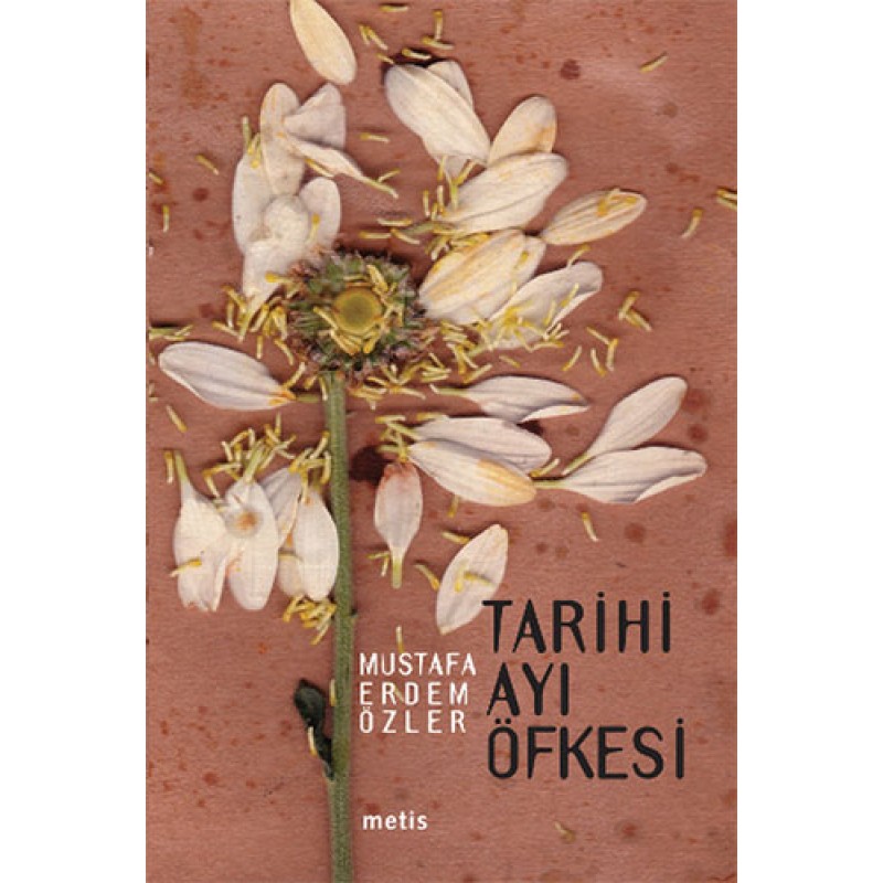 Tarihi Ayı Öfkesi Tarihi Ayı Öfkesi