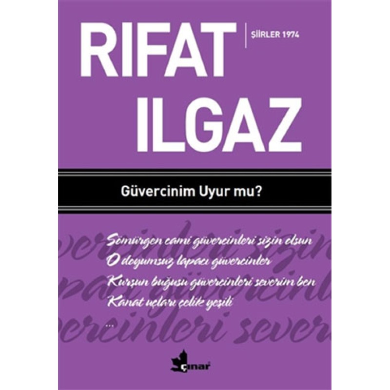 Güvercinim Uyur Mu?