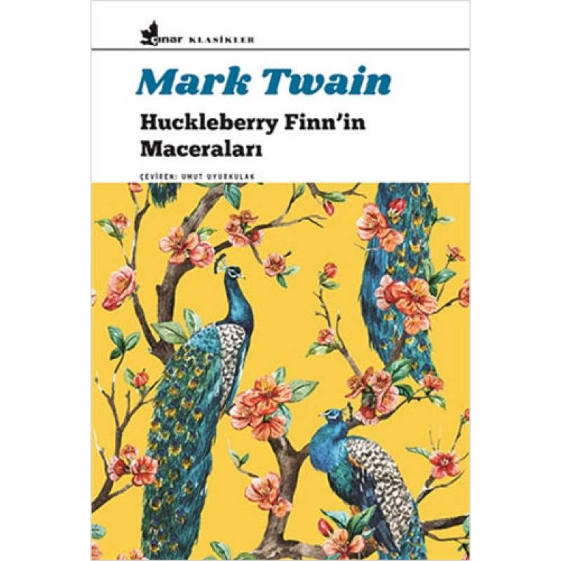 Huckleberry Finn’in Maceraları